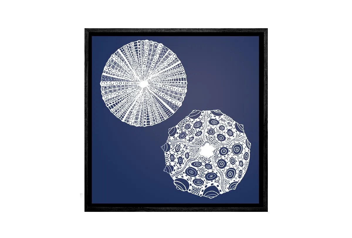 Anemone White on Navy | Canvas Wall Art Print