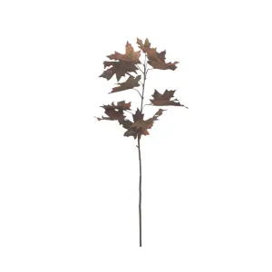 Autumn Maple - Rust