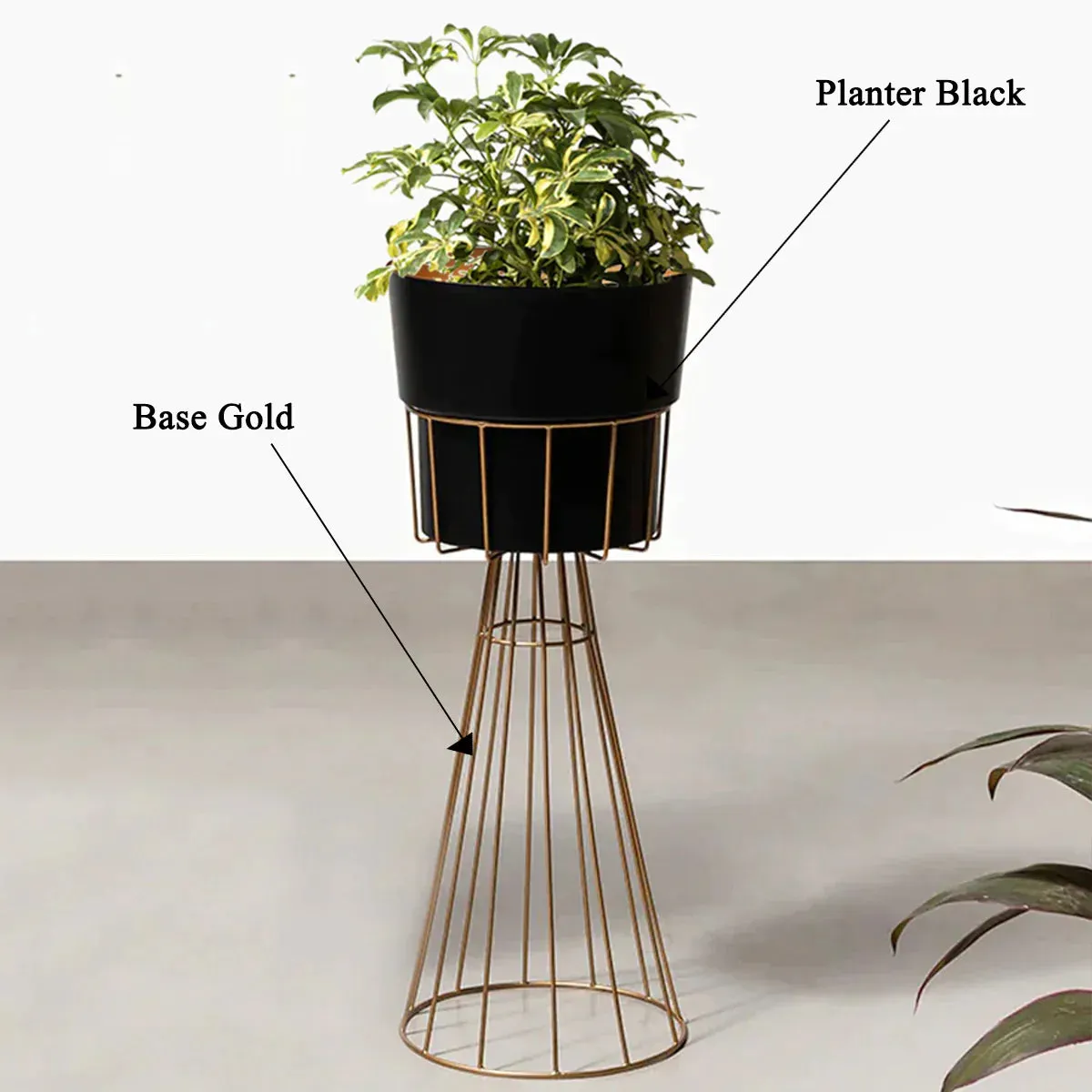 Avant-Garden Planters - Big - Black