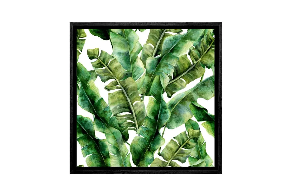 Banana Leaves 2 in Watercolour | Canvas Wall Art Print