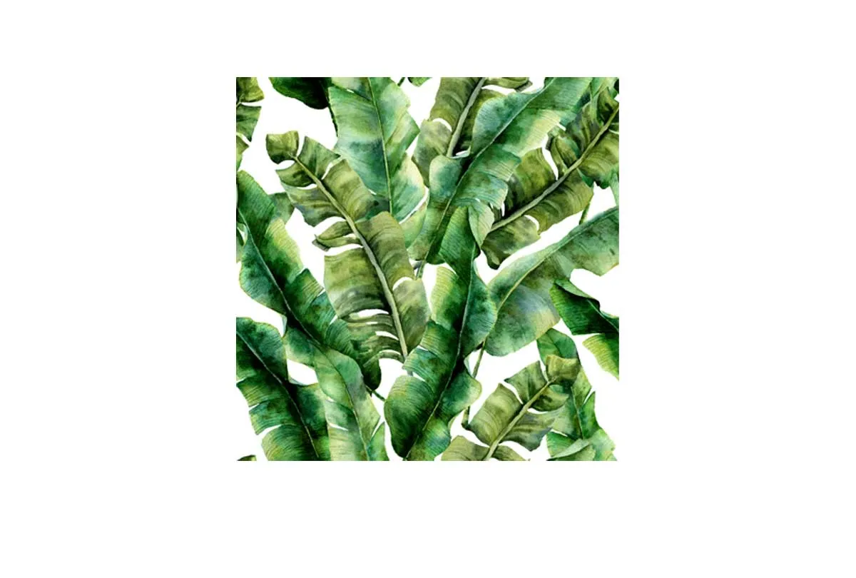 Banana Leaves 2 in Watercolour | Canvas Wall Art Print