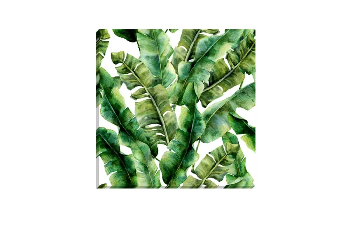 Banana Leaves 2 in Watercolour | Canvas Wall Art Print