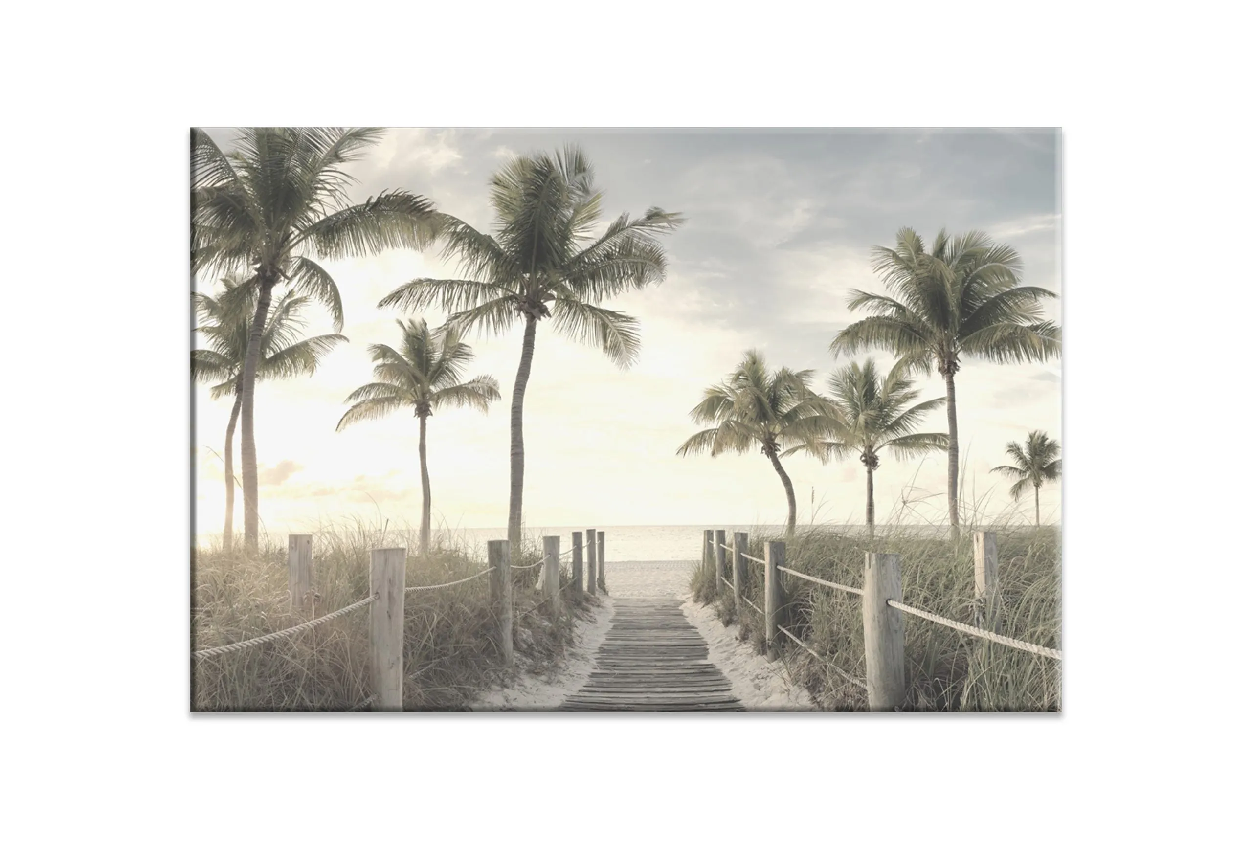 Beach Palm Boardwalk | Wall Art Print