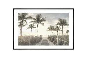 Beach Palm Boardwalk | Wall Art Print