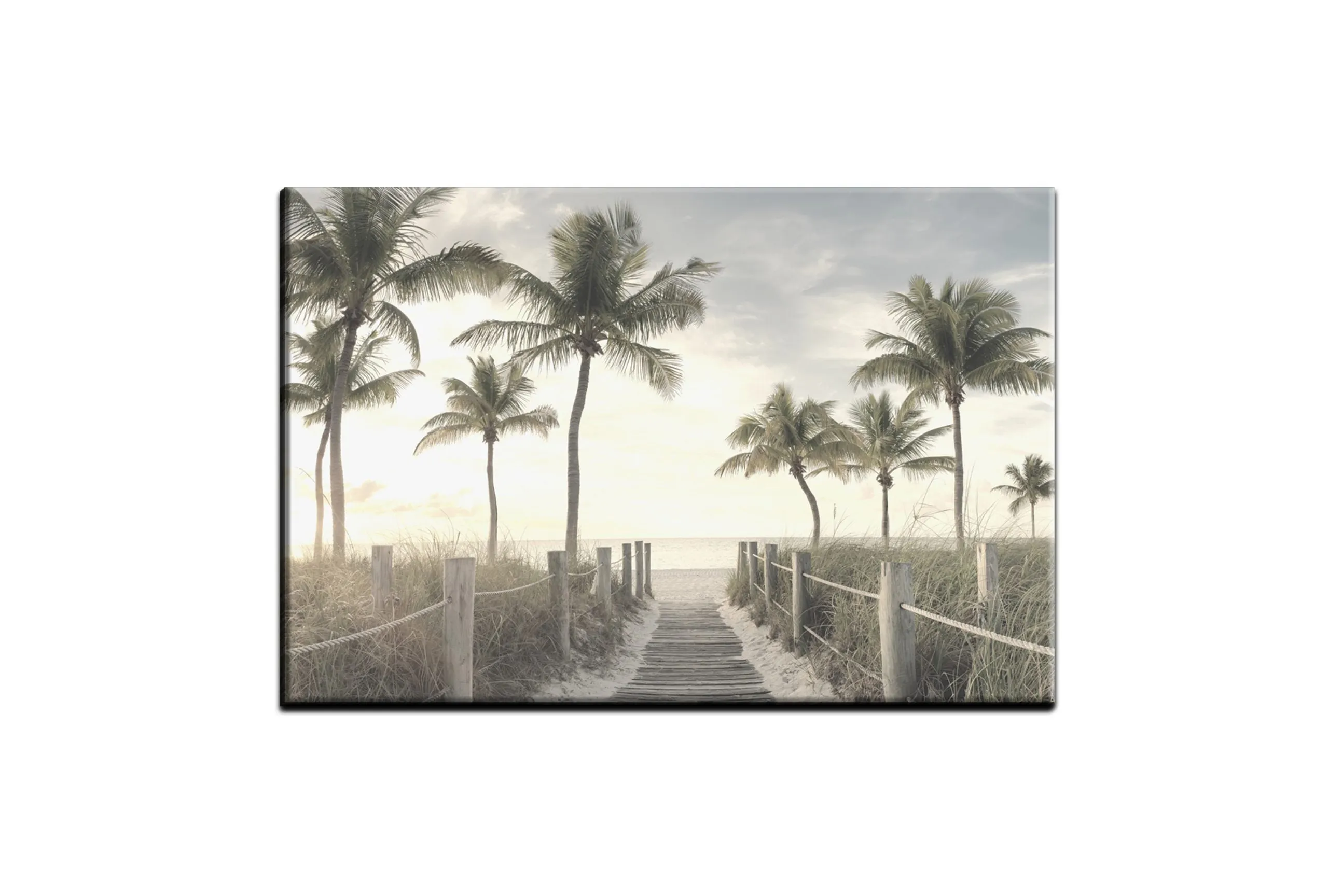 Beach Palm Boardwalk | Wall Art Print