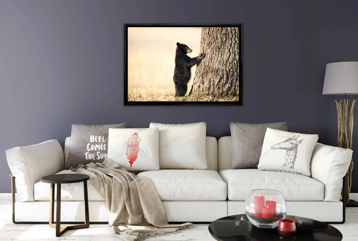 Black Bear Cub | Canvas Wall Art Print