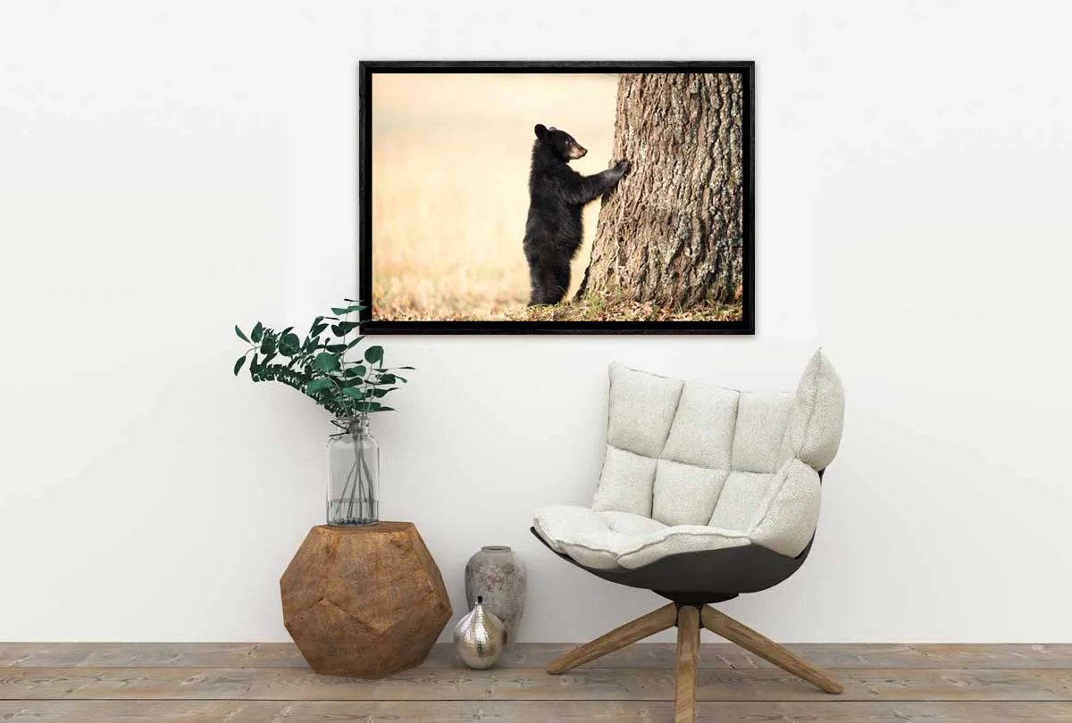 Black Bear Cub | Canvas Wall Art Print