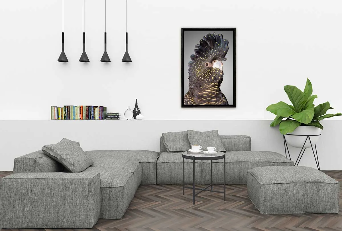 Black Cockatoo 2 | Canvas Wall Art Print