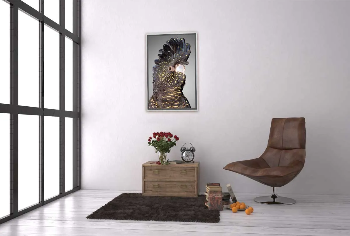 Black Cockatoo 2 | Canvas Wall Art Print