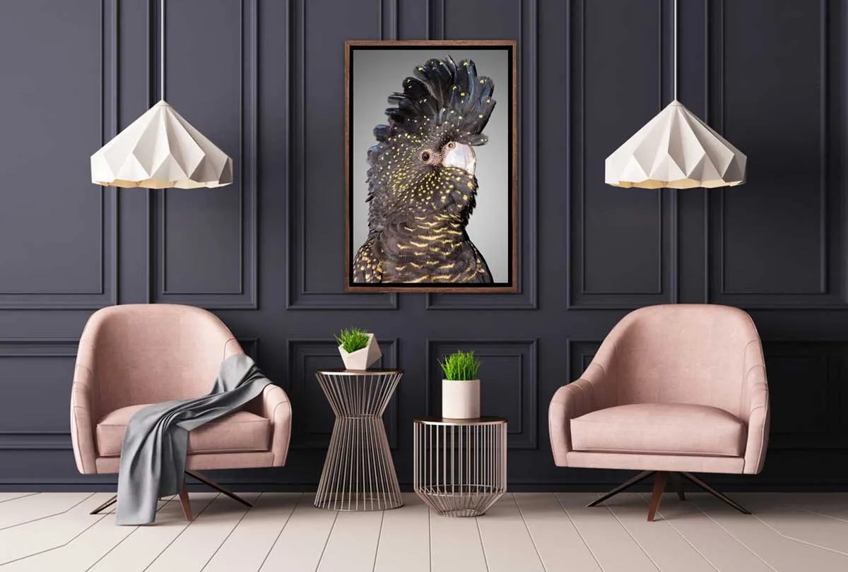 Black Cockatoo 2 | Canvas Wall Art Print