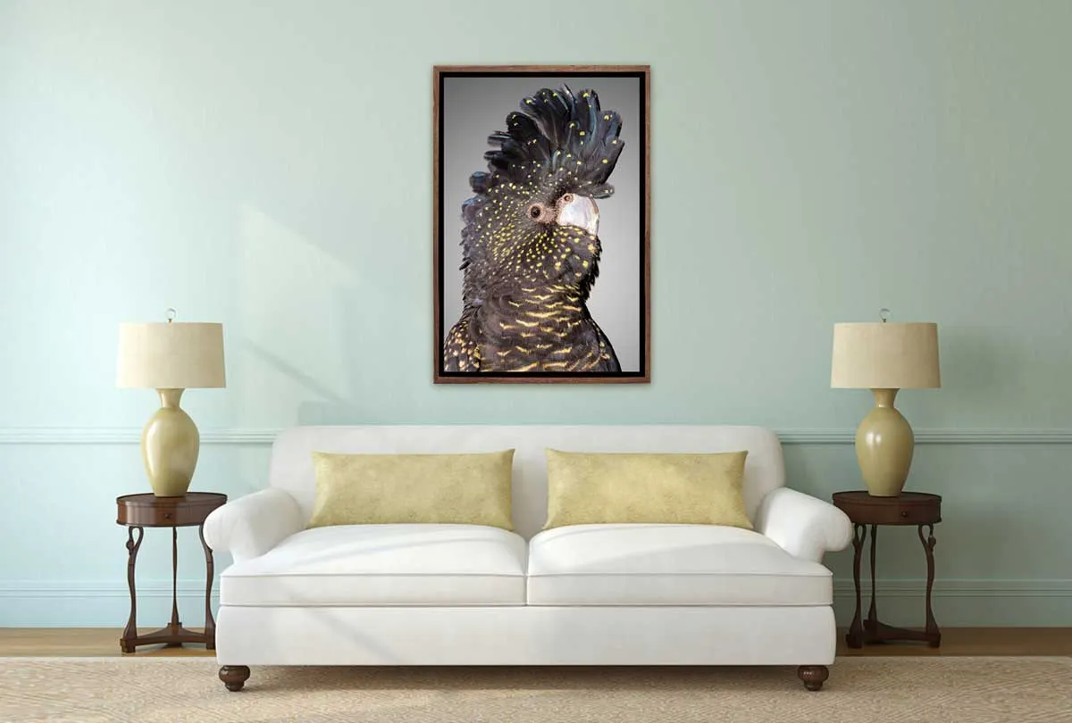 Black Cockatoo 2 | Canvas Wall Art Print