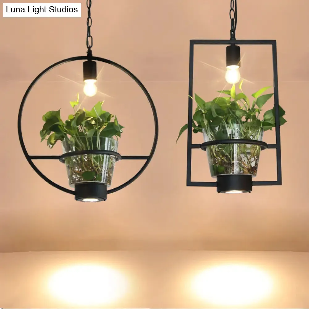 Black Industrial Iron Pendant with Clear Glass Plant Pot: 1 Light Down Lighting Cage Design