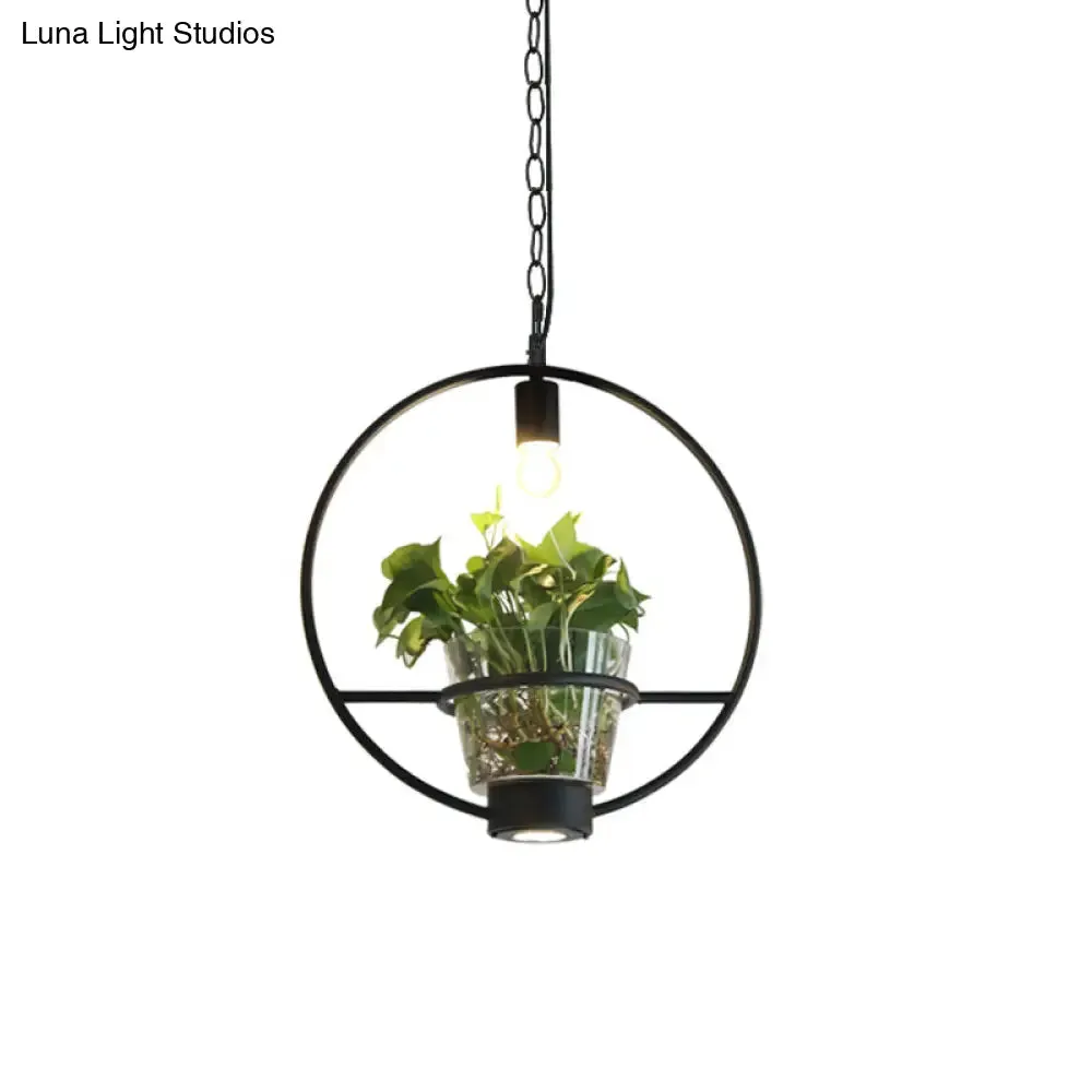 Black Industrial Iron Pendant with Clear Glass Plant Pot: 1 Light Down Lighting Cage Design