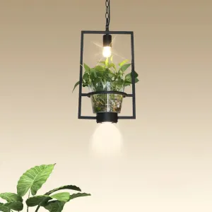 Black Industrial Iron Pendant with Clear Glass Plant Pot: 1 Light Down Lighting Cage Design