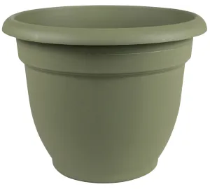 Bloem 20-56406 Planter, 6 in Dia, 5-1/4 in H, 6-1/2 in W, Round, Plastic, Living Green :EA: QUANTITY: 10