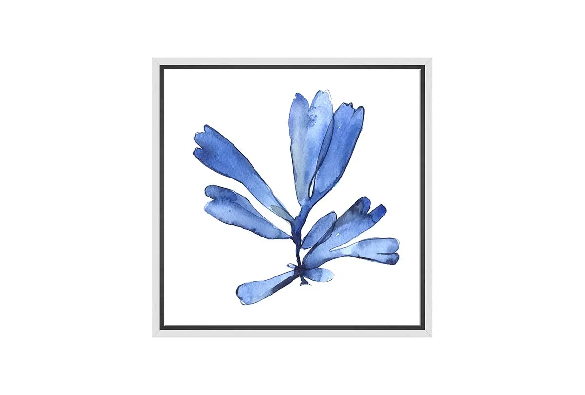 Blue Seaweed 4 | Hamptons Canvas Wall Art Print