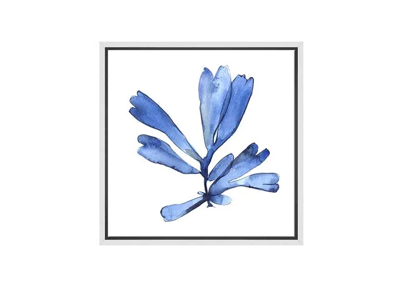 Blue Seaweed 4 | Hamptons Canvas Wall Art Print