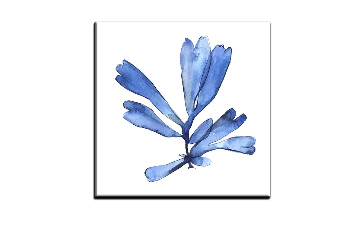 Blue Seaweed 4 | Hamptons Canvas Wall Art Print