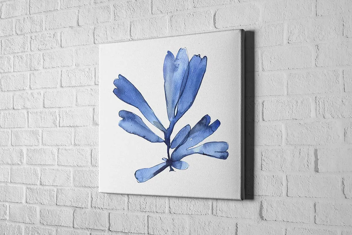 Blue Seaweed 4 | Hamptons Canvas Wall Art Print