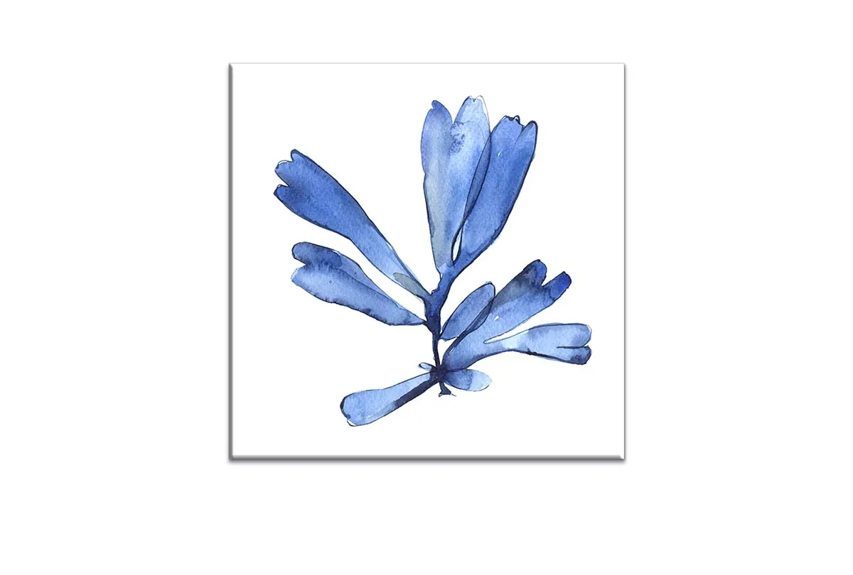 Blue Seaweed 4 | Hamptons Canvas Wall Art Print