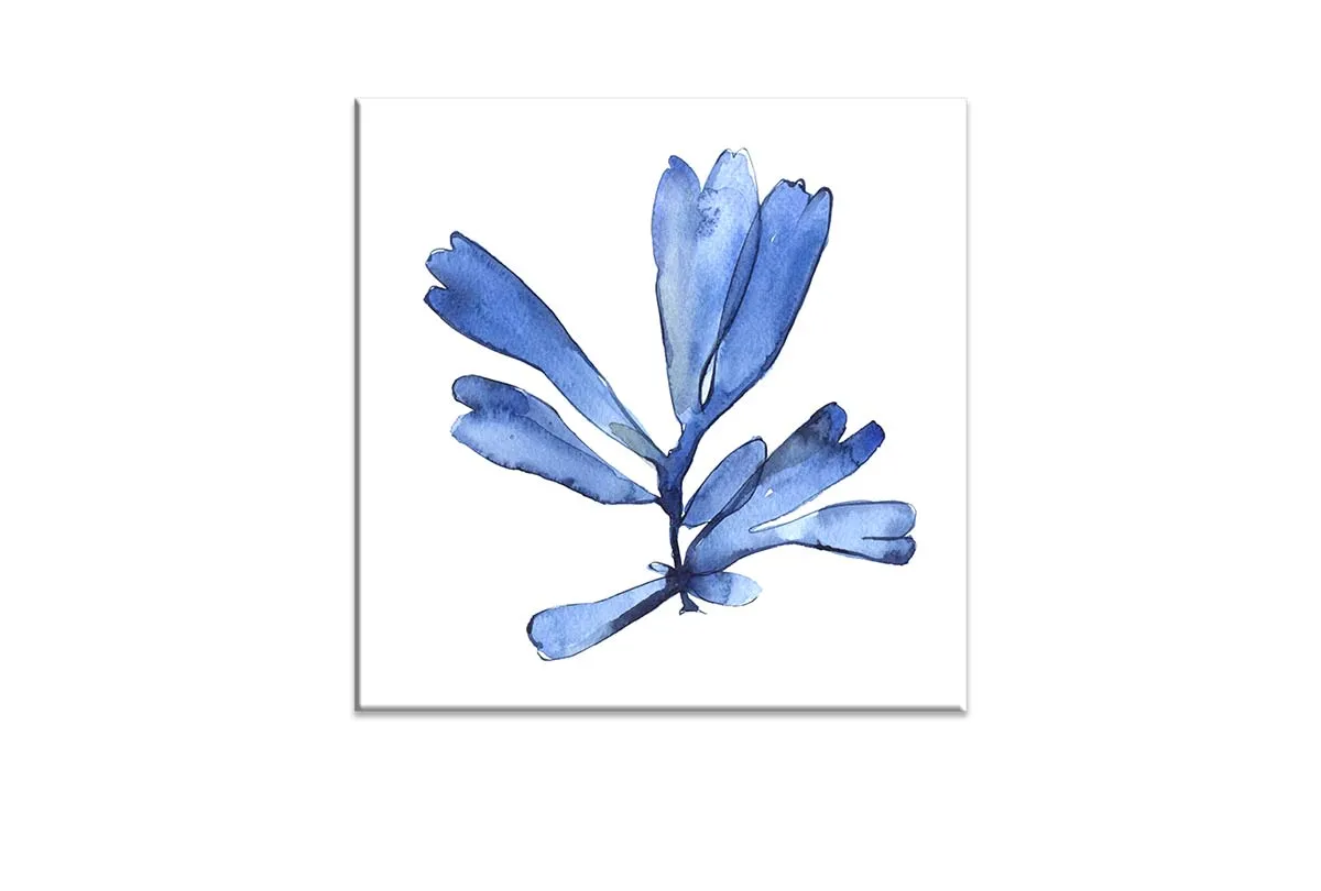 Blue Seaweed 4 | Hamptons Canvas Wall Art Print