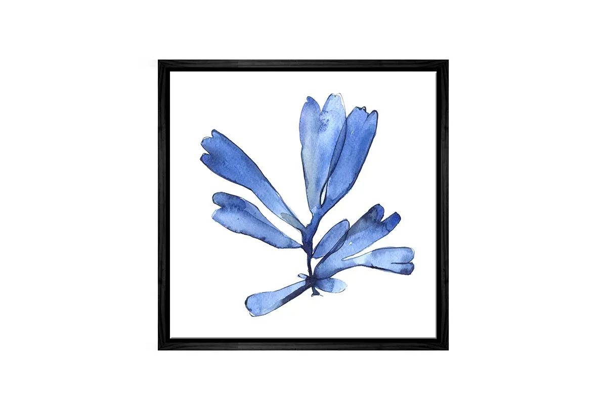 Blue Seaweed 4 | Hamptons Canvas Wall Art Print