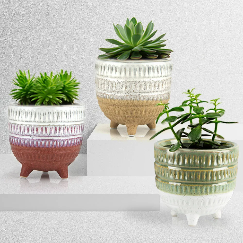 Bohemian Ceramic Pot & Planter