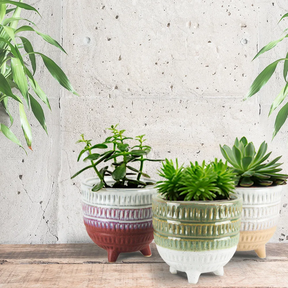 Bohemian Ceramic Pot & Planter