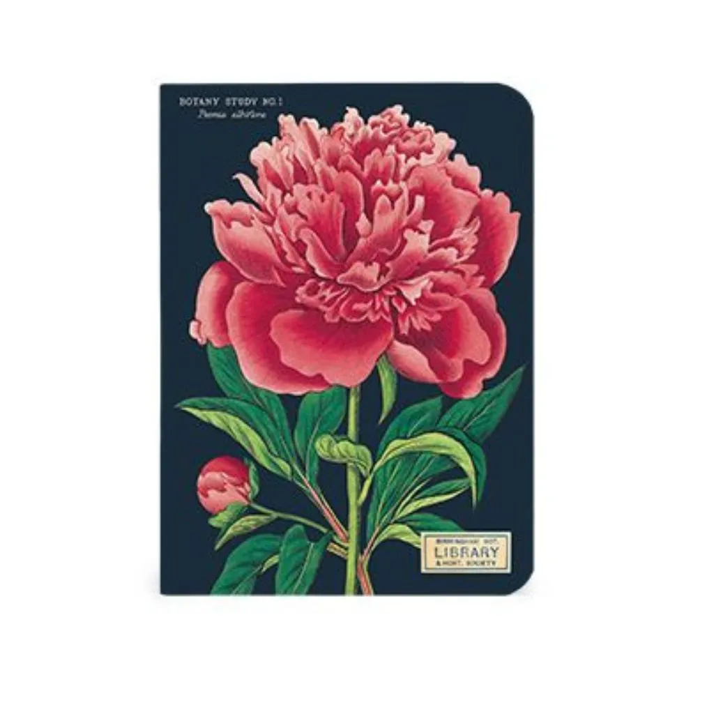 Botany Mini Notebooks - Set of Three