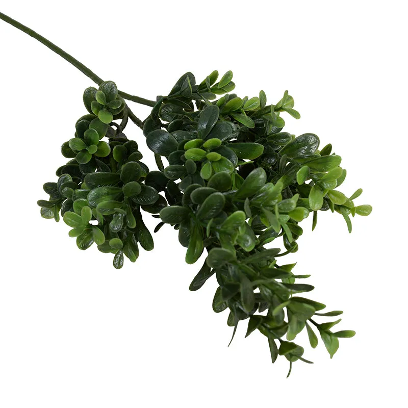 Boxwood Shrub Small Branch  25.5"