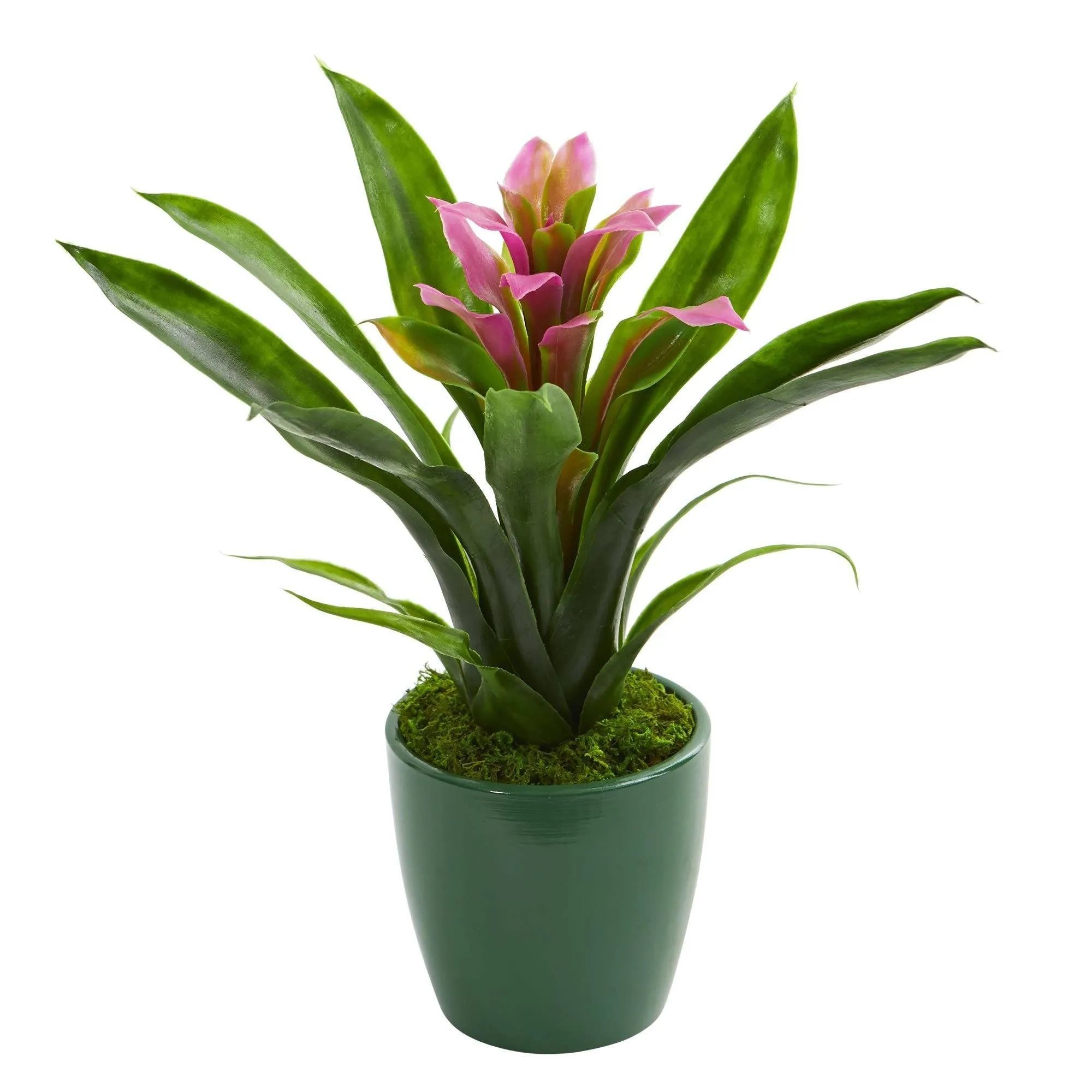 Bromeliad Artificial Plant in Green Planter (Set of 3)