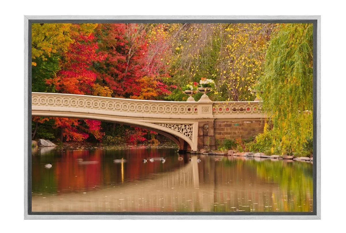 Central Park 2, NYC | Canvas Art Print