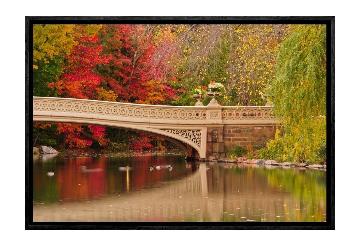 Central Park 2, NYC | Canvas Art Print