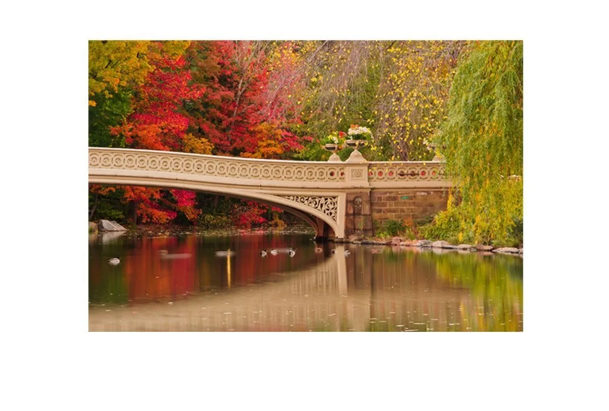 Central Park 2, NYC | Canvas Art Print