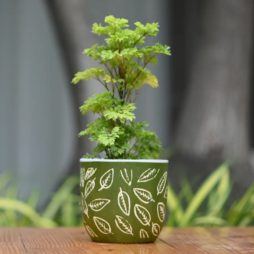 Ceramic Classic Leaf Print Pot/Planter