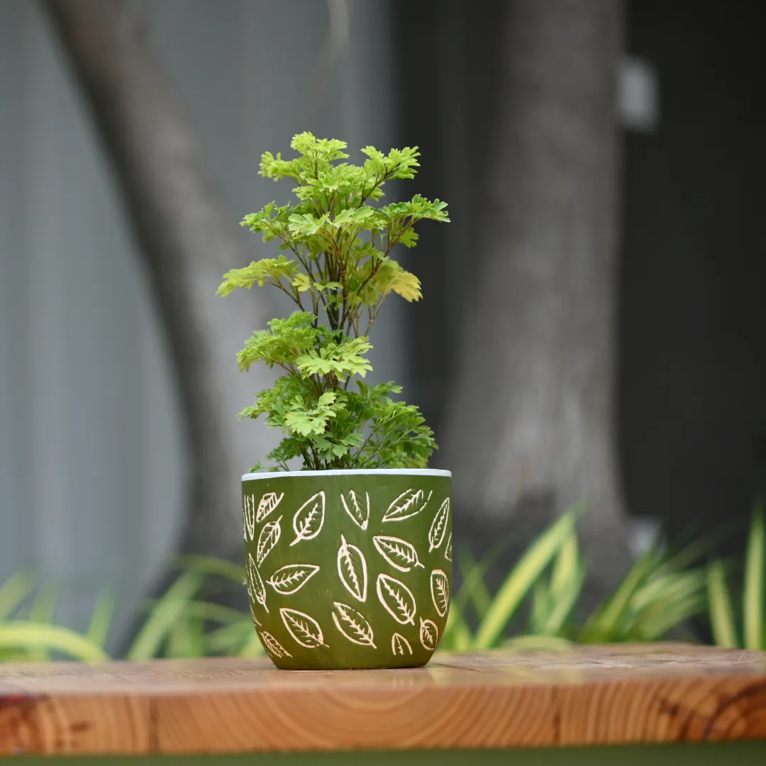 Ceramic Classic Leaf Print Pot/Planter