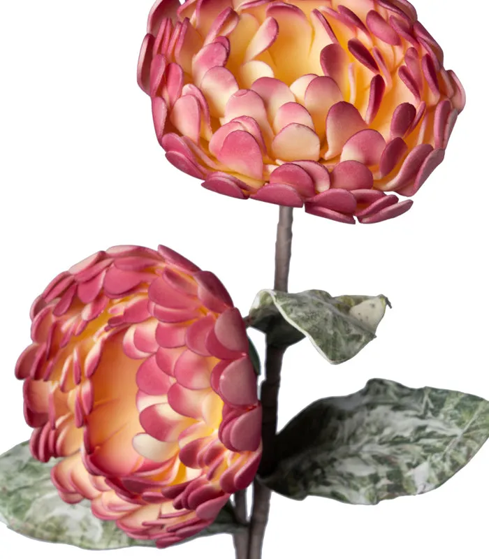 Chrysanthemum Pink Yellow - Set of 2