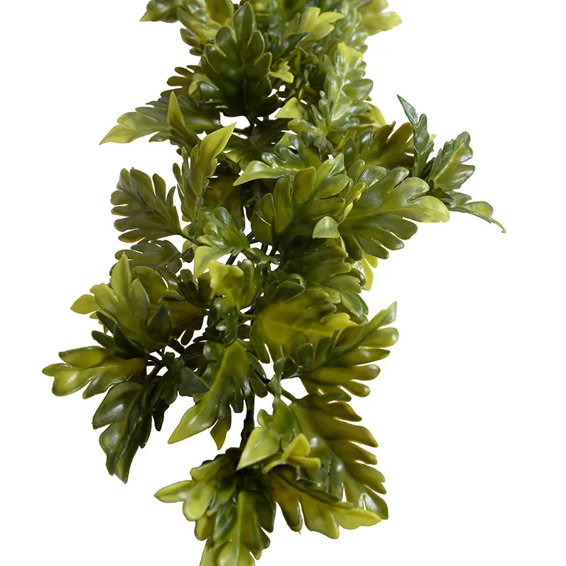 Coleus Vine 6' - Green Yellow