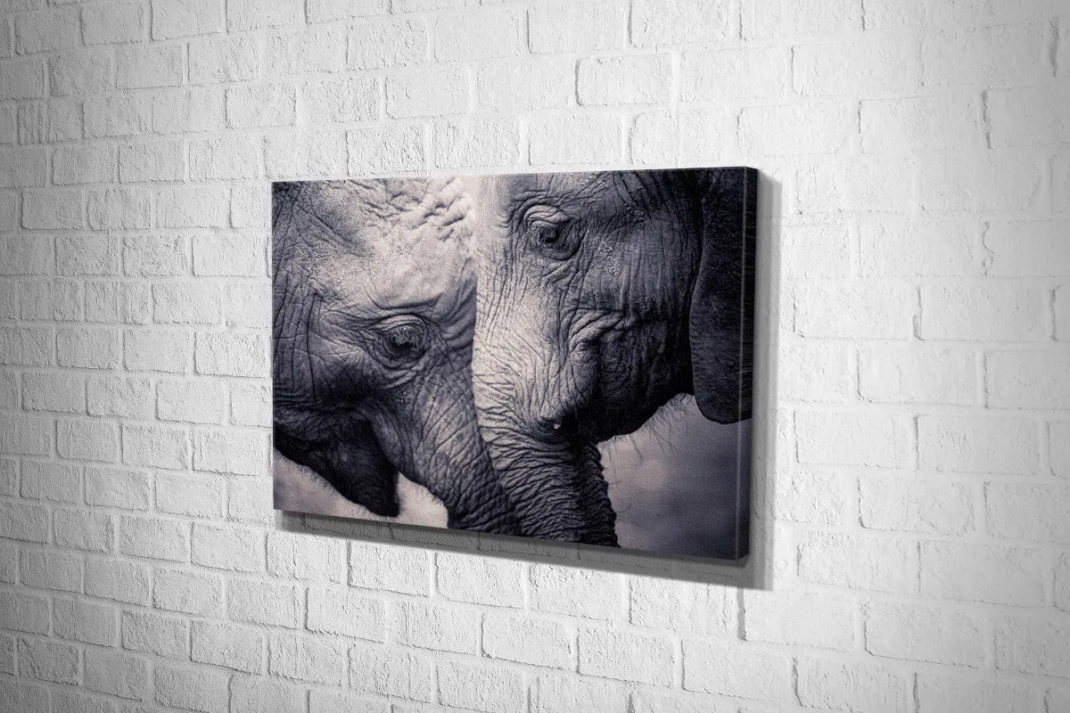 Elephant Love | Canvas Wall Art Print