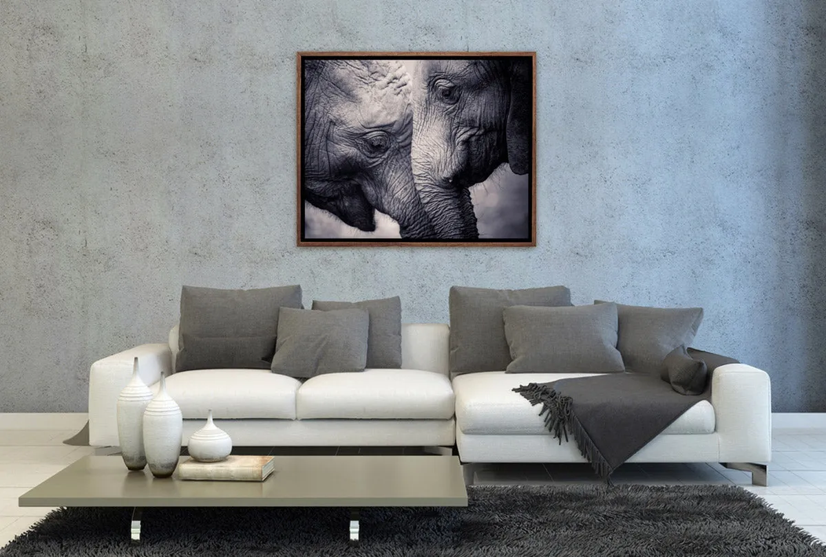 Elephant Love | Canvas Wall Art Print