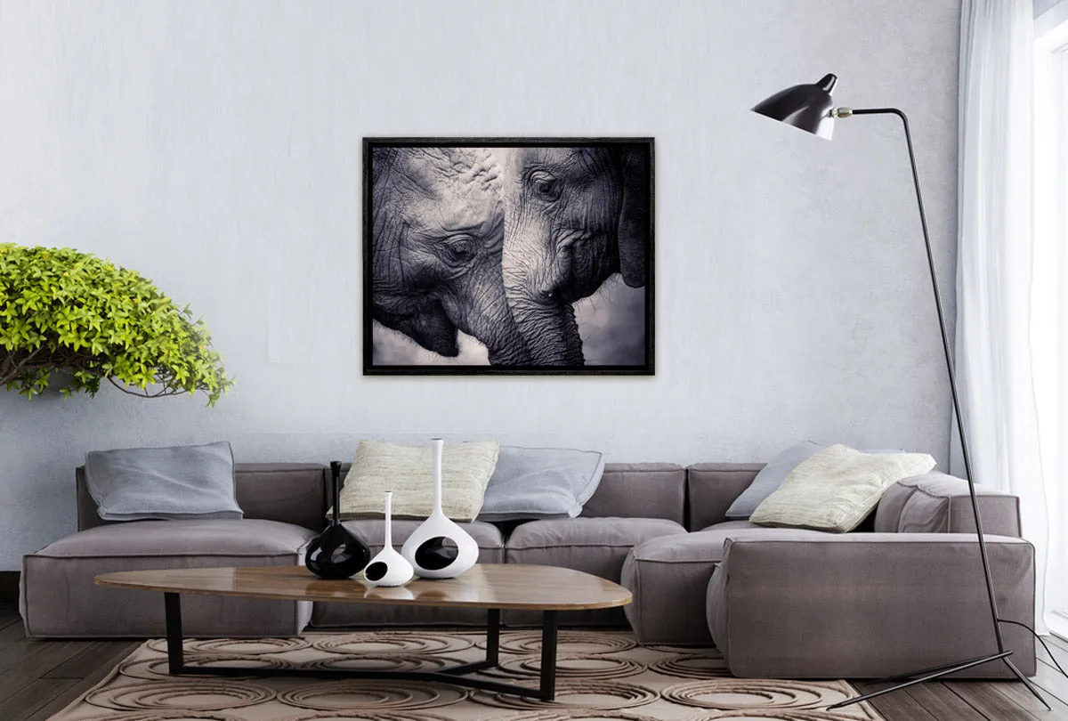 Elephant Love | Canvas Wall Art Print