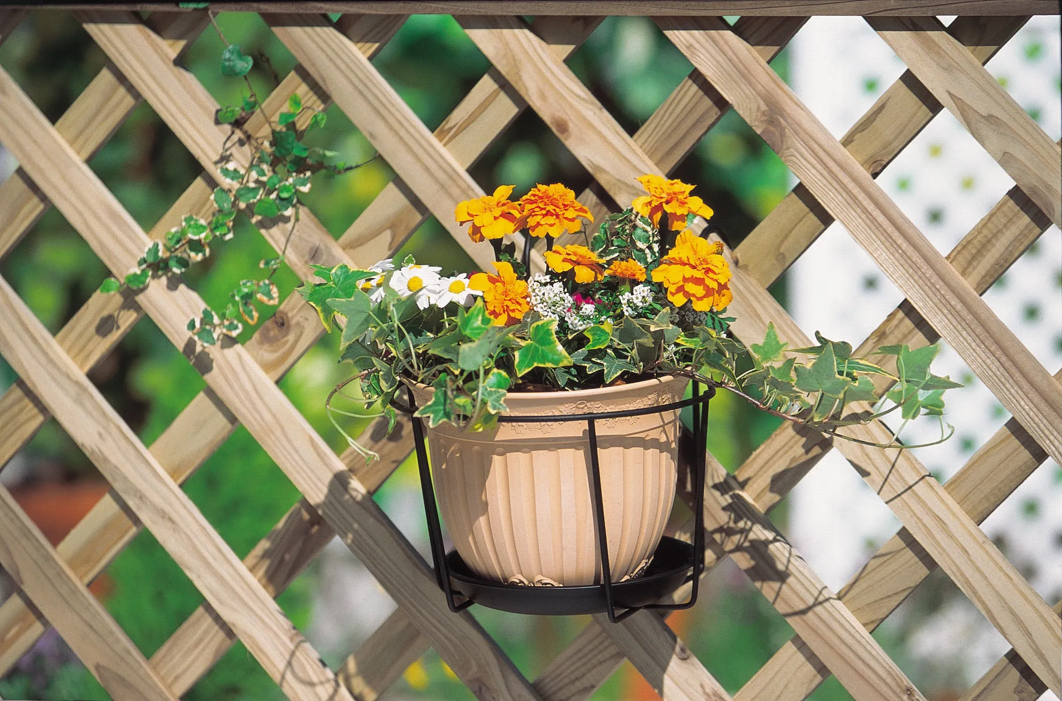 Hanging Basket Stand for Pot (Pack of 3)