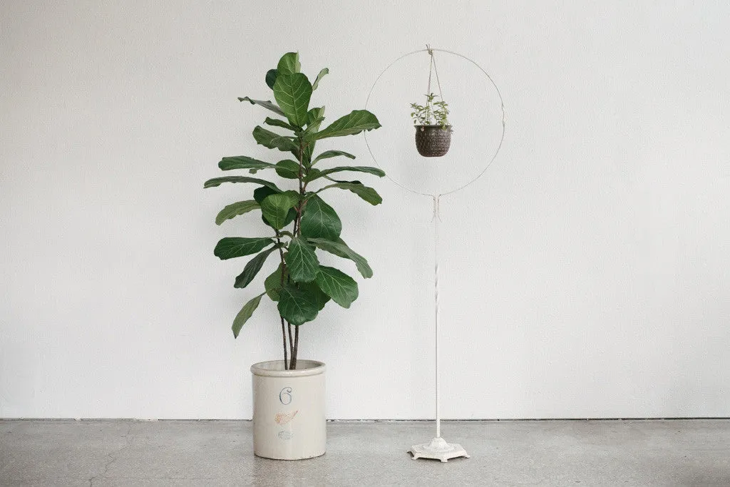 Hanging Plant Stand