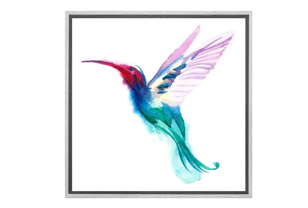 Hummingbird | Canvas Wall Art Print