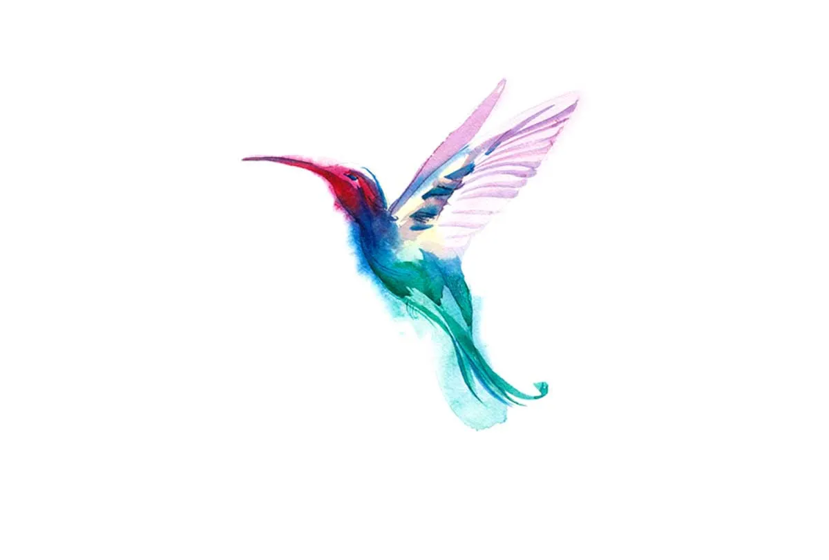 Hummingbird | Canvas Wall Art Print