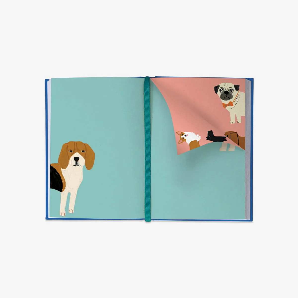 ILLUSTRATED JOURNAL // SHAGGY DOGS