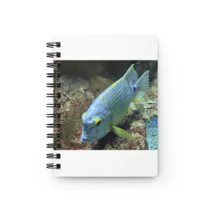 Light Blue Fish Spiral Bound Journal