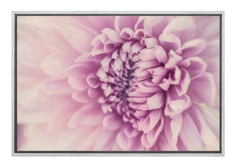 Lilac Bloom | Canvas Art Print