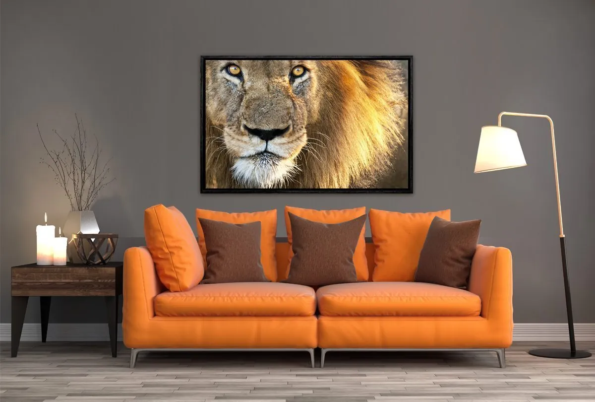 Lion | Canvas Wall Art Print