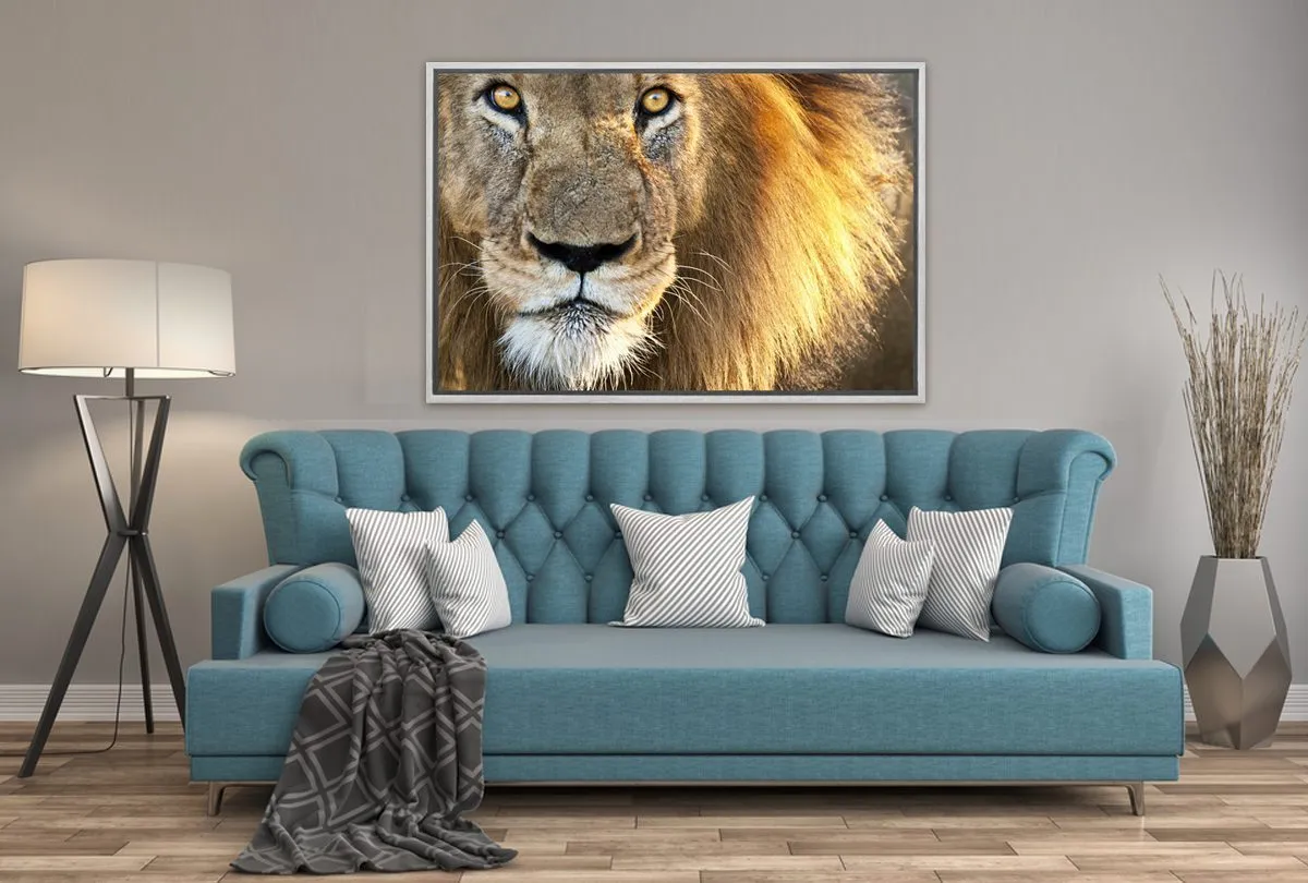 Lion | Canvas Wall Art Print